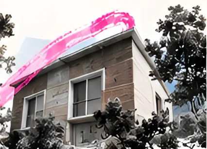 Vivienda en blanco y negro con trazo rosa